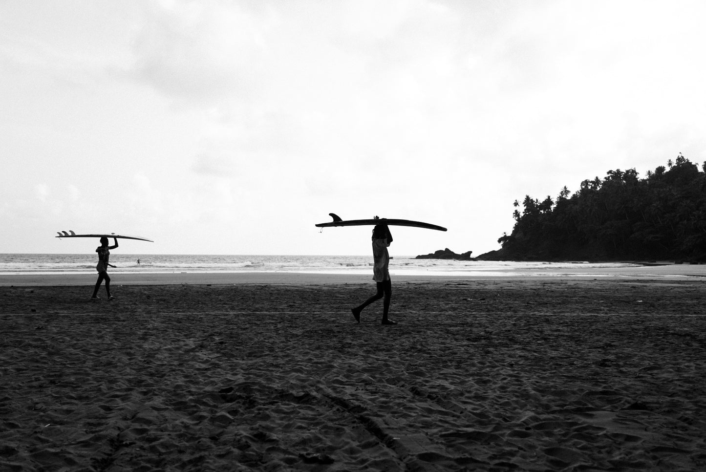 Lignes de surf