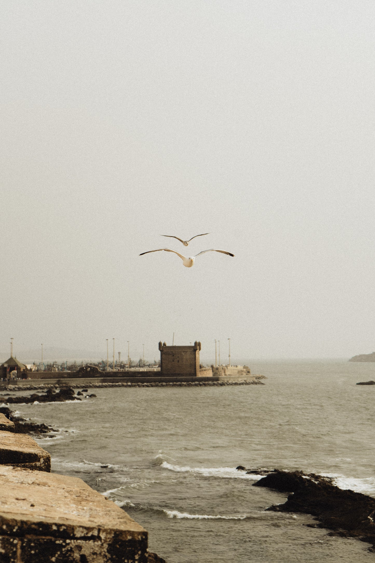 Dans le vent d'Essaouira