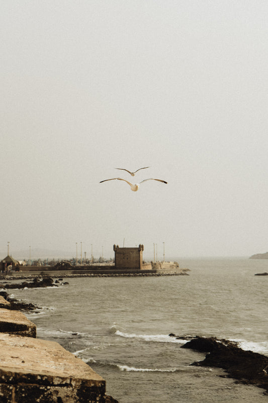 Dans le vent d'Essaouira