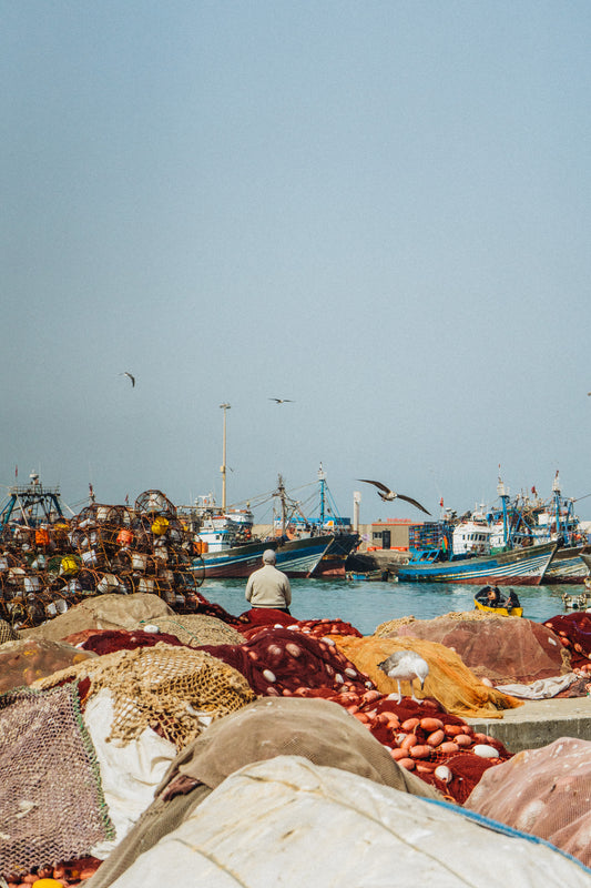 Couleurs du port